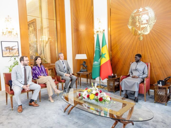 Sénégal : Le Président Bassirou Diomaye Faye reçoit une délégation de Damen Shipyards Group
