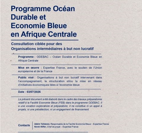 Programme Océan Durable et Economie Bleue en Afrique Centrale – Consultation ciblée pour des Organisations intermédiaires à but non lucratif