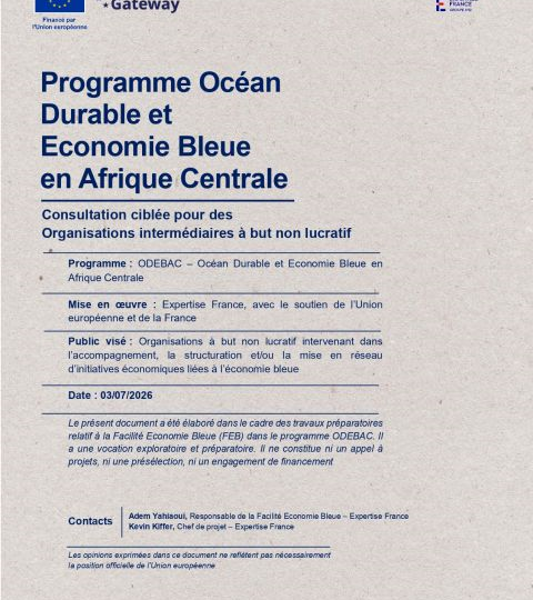 Programme Océan Durable et Economie Bleue en Afrique Centrale – Consultation ciblée pour des Organisations intermédiaires à but non lucratif