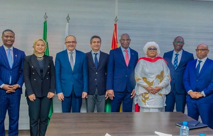 Guinée – Égypte : une coopération stratégique qui se concrétise au service du développement national
