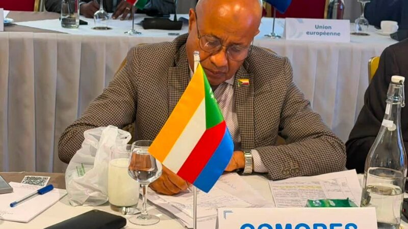 Coopération régionale : les Douanes comoriennes engagées pour la sécurité maritime dans l’océan Indien