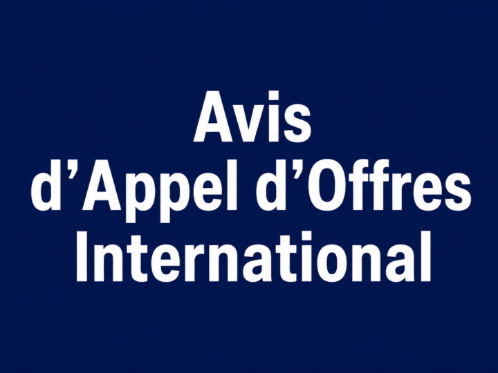 Congo – Avis d’Appel d’Offres International pour la Fourniture d’une vedette de Pilotage (Pilotine) au Port Autonome de Pointe-Noire