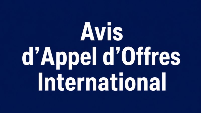 Congo – Avis d’Appel d’Offres International pour la Fourniture d’une vedette de Pilotage (Pilotine) au Port Autonome de Pointe-Noire