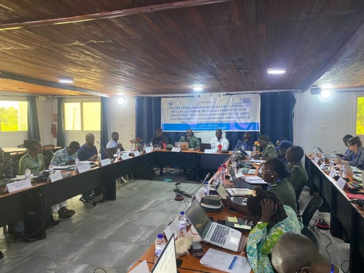 AMP offshores profondes : le Sénégal réunit les administrations de l&rsquo;Action de l&rsquo;État en Mer autour de la plateforme Global Fishing Watch