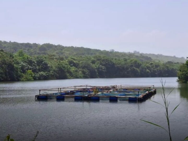 Économie bleue en Guinée : transformer le potentiel aquatique en opportunités durables