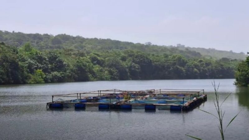 Économie bleue en Guinée : transformer le potentiel aquatique en opportunités durables
