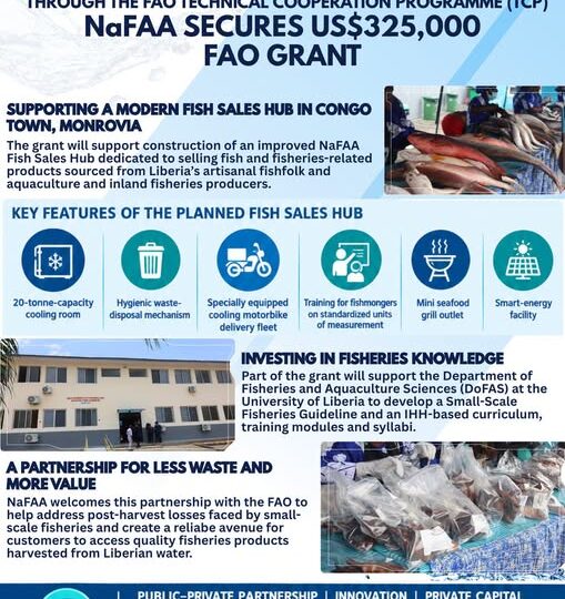 La NaFAA obtient une subvention de 325 000 dollars de la FAO pour la création d’un centre moderne de vente de poisson à Monrovia, au Liberia
