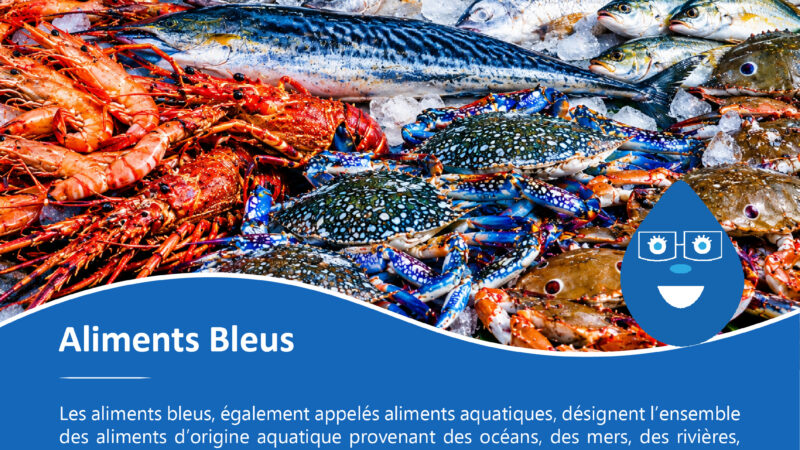 Aliments Bleus